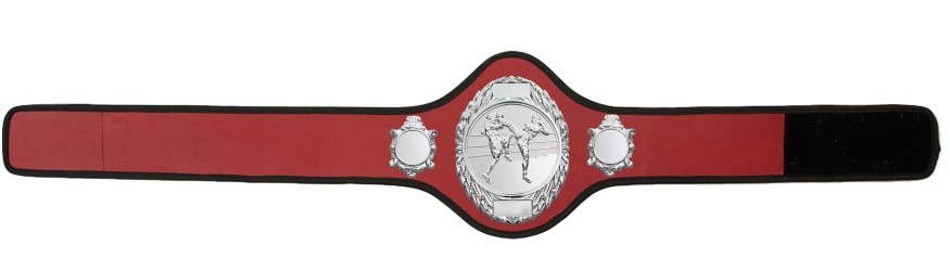 THAI BOXING CHAMPIONSHIP BELT-PRO286/S/TBOS-10+ COLOURS